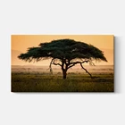 Fine wall art deco Custom framed poster canvas prints on demand canvas