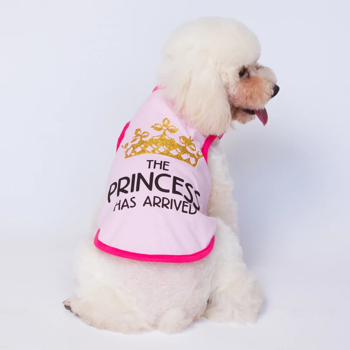 Amazon Hot Sale Summer Puppy Clothes Breathable Princess Crown Cotton Dog Vest Wholesale, 3 colors
Amazon Hot Sale Summer Puppy Clothes Breathable Princess Crown Cotton Dog Vest Wholesale, 3 colors