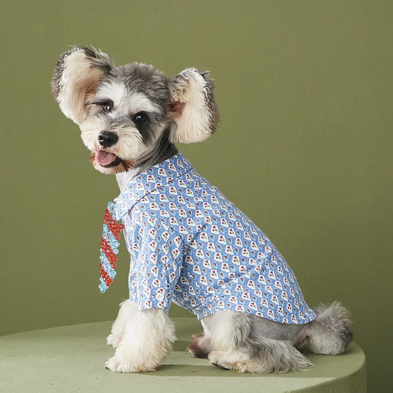 Teddy Schnauzer Pomeranian Plush Floral Luxury Pet Cat Shirt Winter High End Dog Clothes
Teddy Schnauzer Pomeranian Plush Floral Luxury Pet Cat Shirt Winter High End Dog Clothes