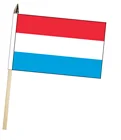 Tourism sport and memorizing activity waving flags