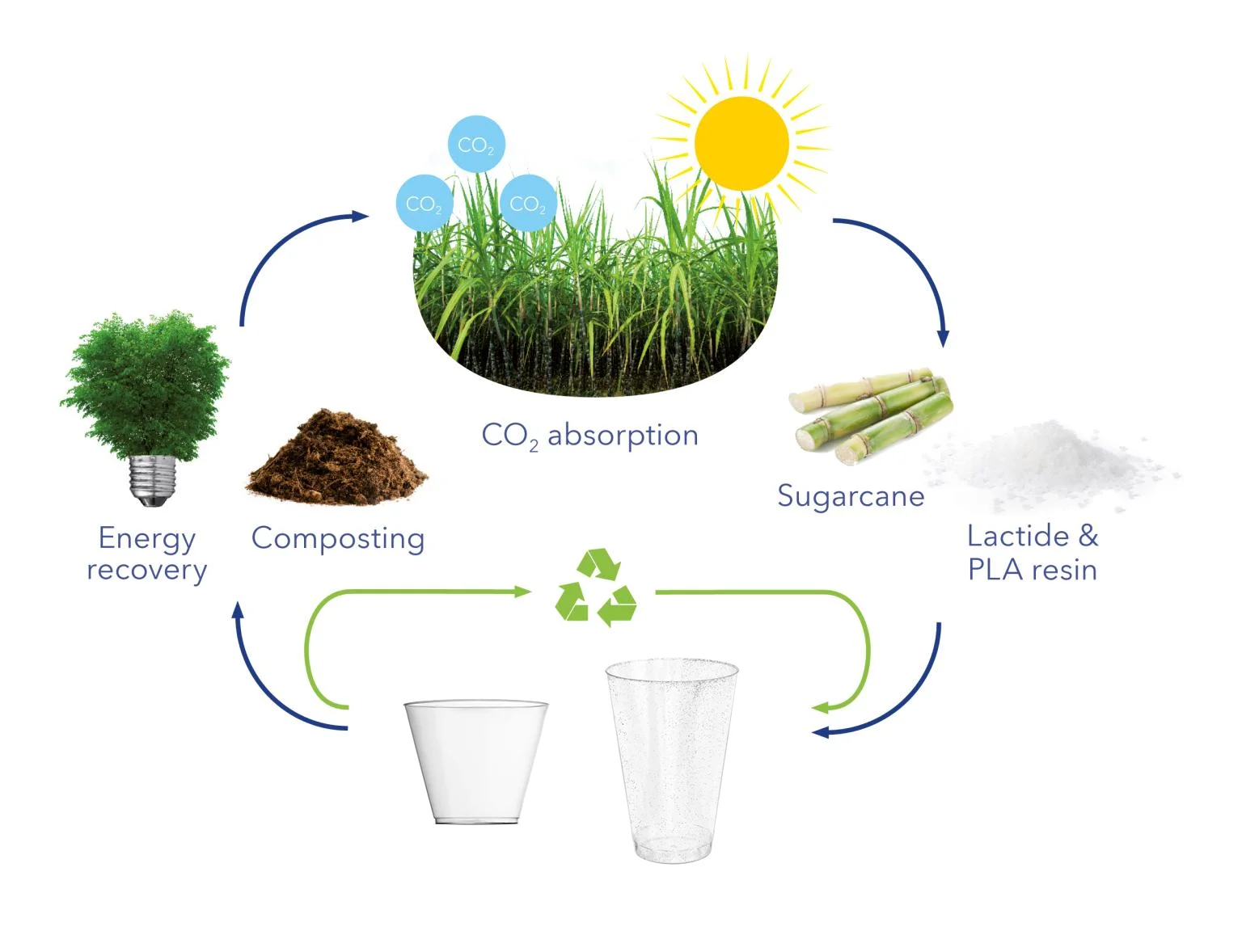 9 盎司 pla 杯环保 compostable cups pla cups 可生物降解与 bpa