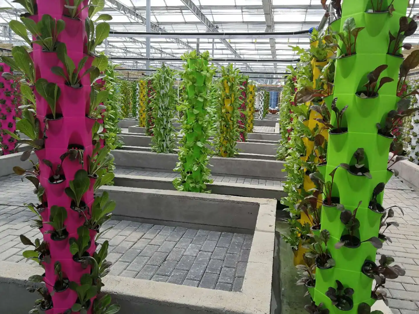 vertical hydroponic 3