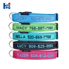 Personalized Nylon Pet Collar Leash Custom Embroidered Dog Collars