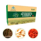 Nature Care Health Products Herbal Materials Dendrobium Candidum Extract Powder Granules