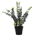 Artificial eucalyptus faux plant eucalyptus with plastic planter potted eucalyptus plant