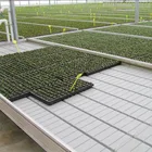 Adjustable Ebb and Flow Systems Rolling Table Benches for Plant