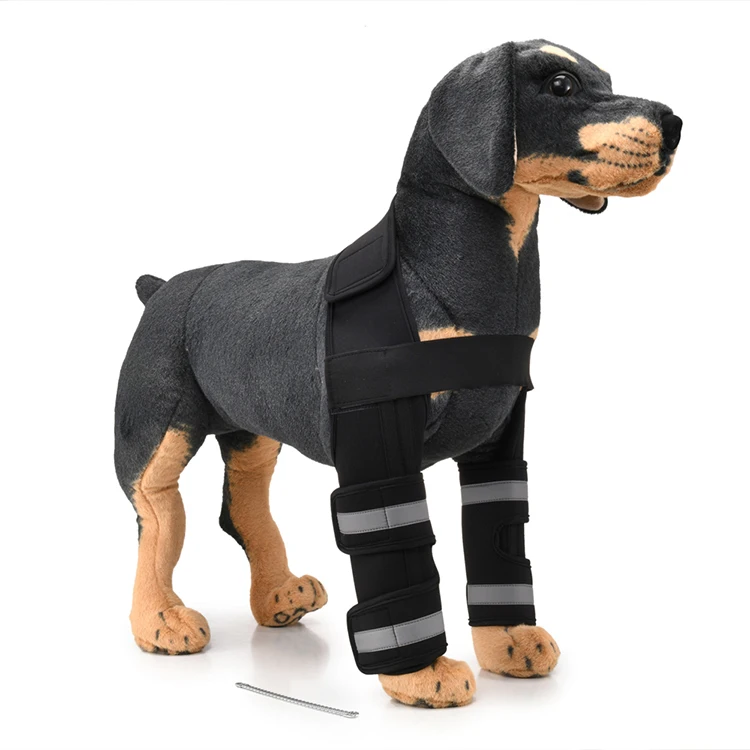 Dog Front Leg Braces with Supporting Sleeve Reflective Canine Paw Compression Wraps Helps with Ligament Injuries Sprains, Black
Dog Front Leg Braces with Supporting Sleeve Reflective Canine Paw Compression Wraps Helps with Ligament Injuries Sprains, Black