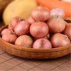 Fresh Fresh Top Grade Vegetables Exporter Fresh Vegetables Shallot