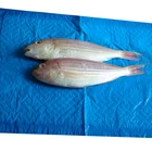 Meat packing pads fda sgs absorbent pad safe contact pe film food keep clean and dry