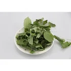 Natural Iso Best Price Top Quality Natural Organic Epimedium Sagittatum Semi