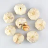 /product-detail/wholesale-natural-fresh-pure-white-garlic-62236349339.html