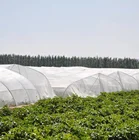 Mesh Netting Plastic Anti Insect Mesh Protection Netting 32 Mesh 45g Insect Proof Mesh