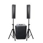 Accuracy Pro Audio WI312ADUSB-BT Wooden Active Column Speaker Powered Portable Live Sound System With Bluetooth