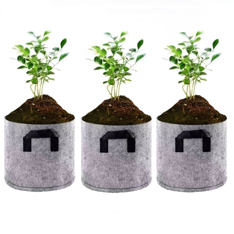 Manufacturer Wholesale Fast Growing Biodegradable Seedling Flower Pot Planters, Customizable
Manufacturer Wholesale Fast Growing Biodegradable Seedling Flower Pot Planters, Customizable