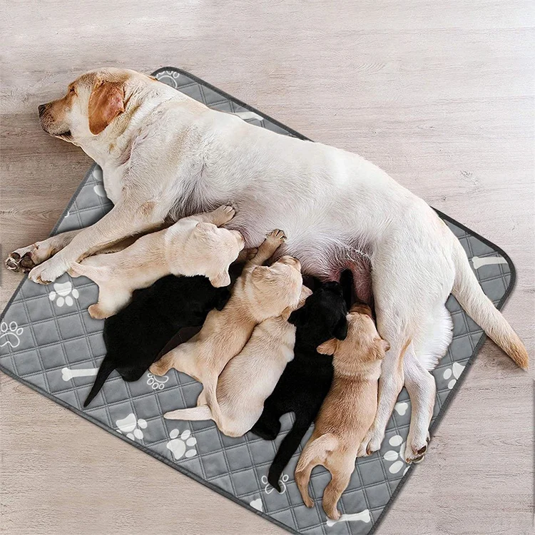 Large Size 4 layer Super Absorbent Waterproof Non Slip Reusable Washable Training Dog Pet Pee Pads, Light gray,printing,mesh shape, gourd shape,diamond shape
Large Size 4 layer Super Absorbent Waterproof Non Slip Reusable Washable Training Dog Pet Pee Pads, Light gray,printing,mesh shape, gourd shape,diamond shape