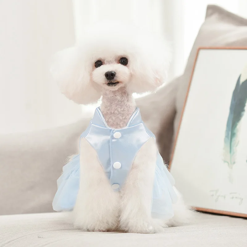 Wholesale Luxury Fashions Cute Pet Accessories Designers Tutu Princess Spring XXS Dog Dress Clothes for pet
Wholesale Luxury Fashions Cute Pet Accessories Designers Tutu Princess Spring XXS Dog Dress Clothes for pet