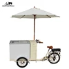 /product-detail/battery-powered-small-ice-cream-solar-bike-freezer-62249961738.html