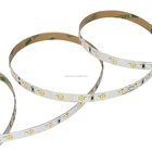 Professional 2835 led light strip CRI 90 4.8W IP65/67/68 for architecture project