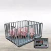 High Accuracy Digital Livestock Animal Used Factory Direct Sell Type Tcs Platform Scales For 200kg Farm Cattle Scale Pig Sheep