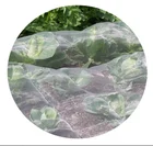 Mesh 40 X 50 Mesh Insect Net Gezi Anti Insect Repel Protection Net HDPE 40 50 Mesh 45g 60g 70g Agricultural Insect Net