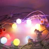 SL-A-010 E26 E27 Sockets and Hanging Loops S14 Bulbs LED string lights usa