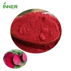 Superfruit Powder Natual Concentrate Juice Beet Root Powder