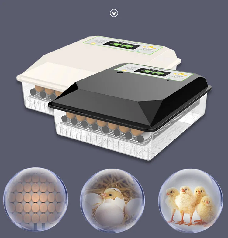 Incubateur Automatique Pour Œufs De Poulet Machine Couveuse Caille