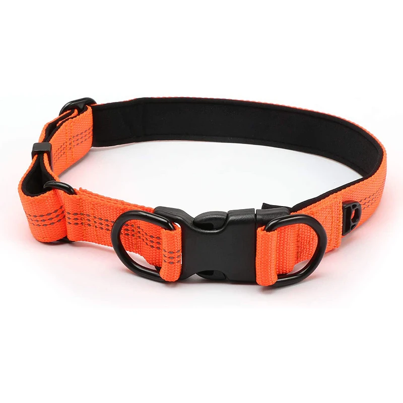 Personalized High-strength Adjustable Reflective Dog Collar with Metal Double Buckle for Running
Personalized High-strength Adjustable Reflective Dog Collar with Metal Double Buckle for Running