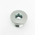 Fasteners Steel Fasteners Stainless Steel Hexagon Socket Head Screw Plugs
