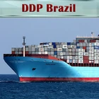 Professional Sea Freight Door To Door Logistics Service From China To Brazil