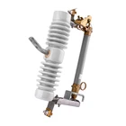 15KV outdoor hv porcelain dropout cut out fuse with best price