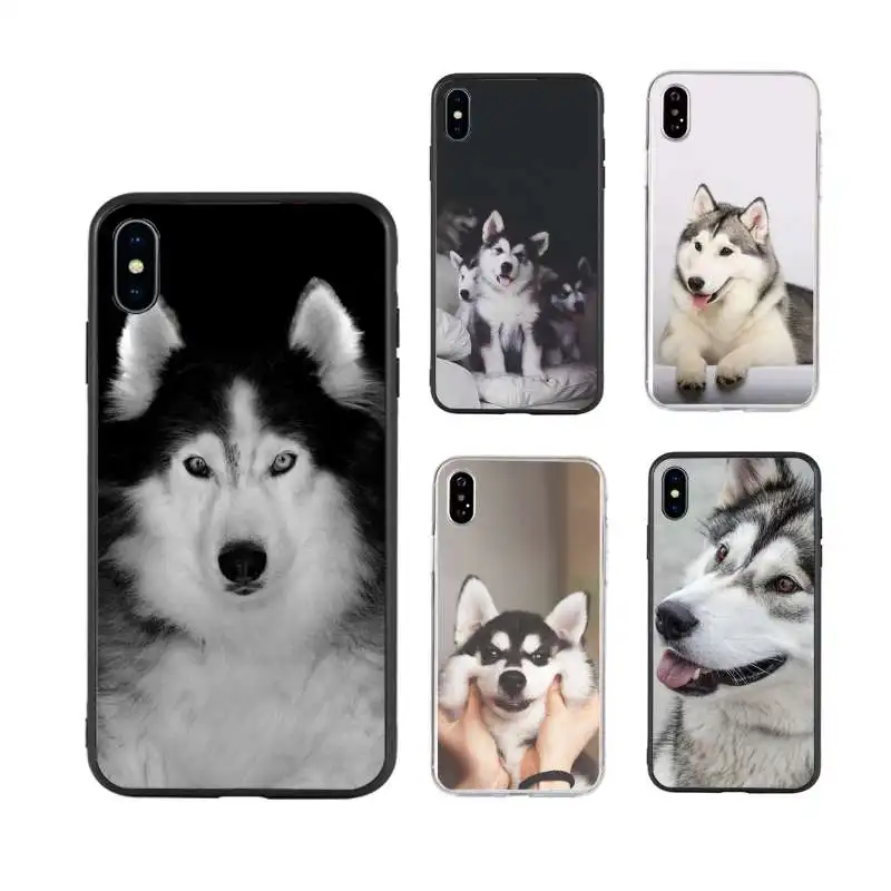 Cute Alaskan Malamute Siberian husky dog Phone Case For iPhone X XS MAX 6 6s 7 7plus 8 8Plus 5 5S se 2020 XR 12 11 pro max case 
Cute Alaskan Malamute Siberian husky dog Phone Case For iPhone X XS MAX 6 6s 7 7plus 8 8Plus 5 5S se 2020 XR 12 11 pro max case