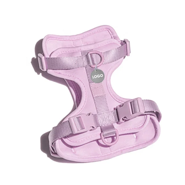 Durable dog walkers Nylon rope breathable lining lightweight custom dog harness adjustable, Blue, purple, grey
Durable dog walkers Nylon rope breathable lining lightweight custom dog harness adjustable, Blue, purple, grey