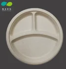 100% Biodegradable 10 inch Paper Divided Dinner Plates Disposable Bagasse Food Tray/plates