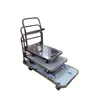 /product-detail/folding-platform-trolley-300kg-62384534418.html