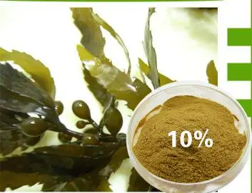 10%.jpg