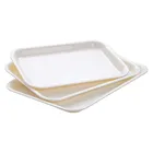 15.5" New Design Healthy Long Rectangle Buffet Elegant Serving Tray