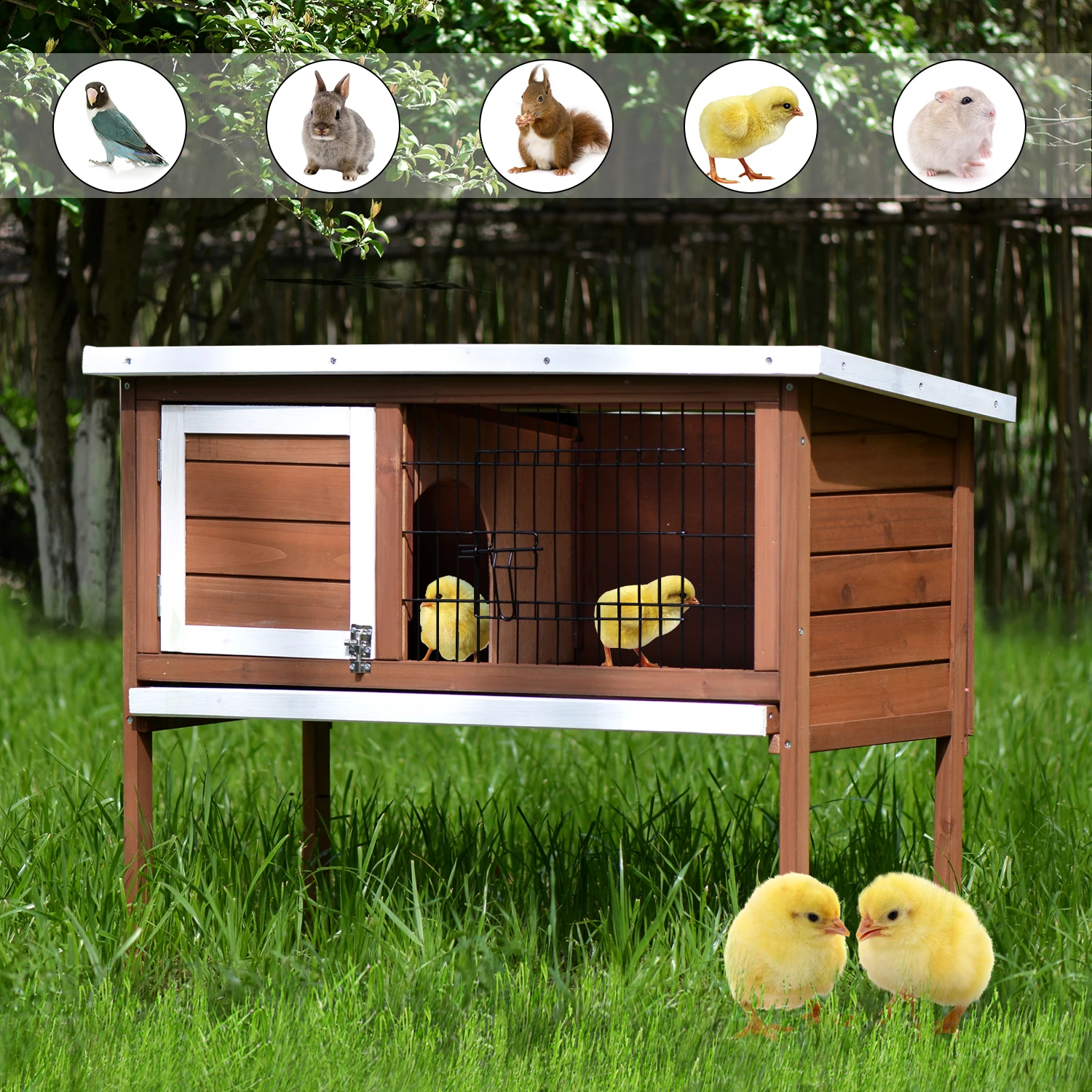 Overseas Warehouse Drop Shipping US Spot Pet Parrot Hamster Rabbit Bunny Wood House Small Animal Chick Hutch With ABS Tray, Picture
Overseas Warehouse Drop Shipping US Spot Pet Parrot Hamster Rabbit Bunny Wood House Small Animal Chick Hutch With ABS Tray, Picture