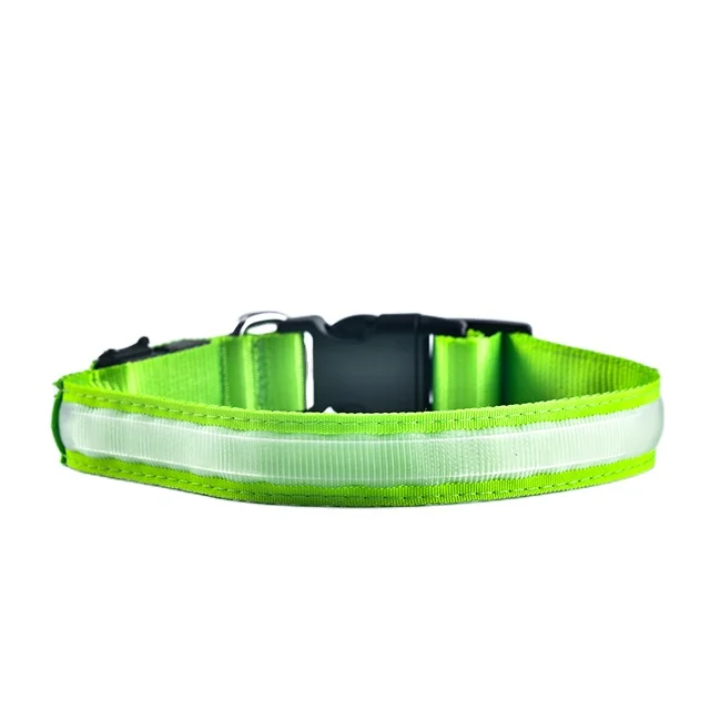 Adjustable Night Walking LED Lighting Dog Collar Nylon Webbing Chargeable Pet Collar for Medium Large Dog
Adjustable Night Walking LED Lighting Dog Collar Nylon Webbing Chargeable Pet Collar for Medium Large Dog