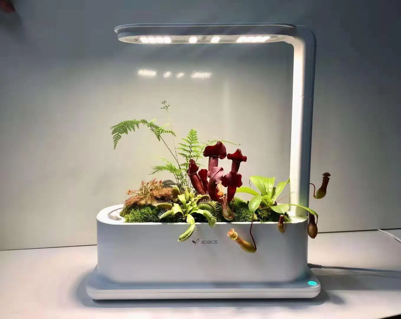 High quality 3 hole Hydroponics Growing System,Kitchen Garden,Smart Indoor Garden 
High quality 3 hole Hydroponics Growing System,Kitchen Garden,Smart Indoor Garden