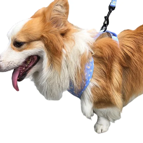 Pet Harness Vest Walking Pet Collar Reflective Puppy Collar Manufacturer Wholesale
Pet Harness Vest Walking Pet Collar Reflective Puppy Collar Manufacturer Wholesale