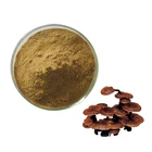 Natural 100% pure extract reishi mushroom powder/ganoderma extract