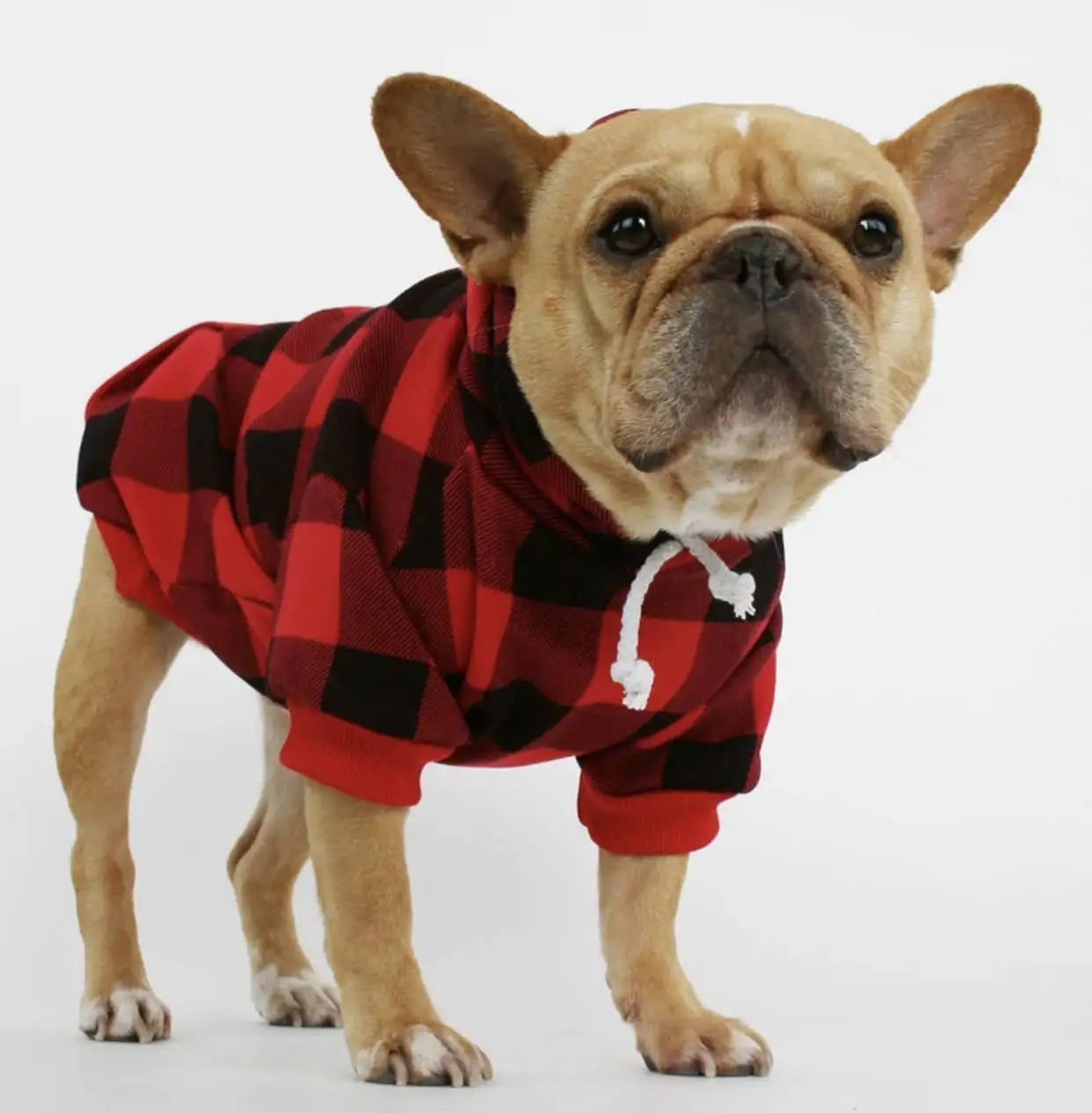 Factory Price Wholesale Pet Clothes Casual Cute Bulldog Golden Retriever Alaska Husky Big Dog Hoodie Solid Colors And Plaid
Factory Price Wholesale Pet Clothes Casual Cute Bulldog Golden Retriever Alaska Husky Big Dog Hoodie Solid Colors And Plaid