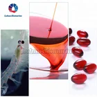 High protein phospholipid 500mg krill oil capsule