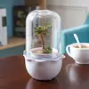 new product development