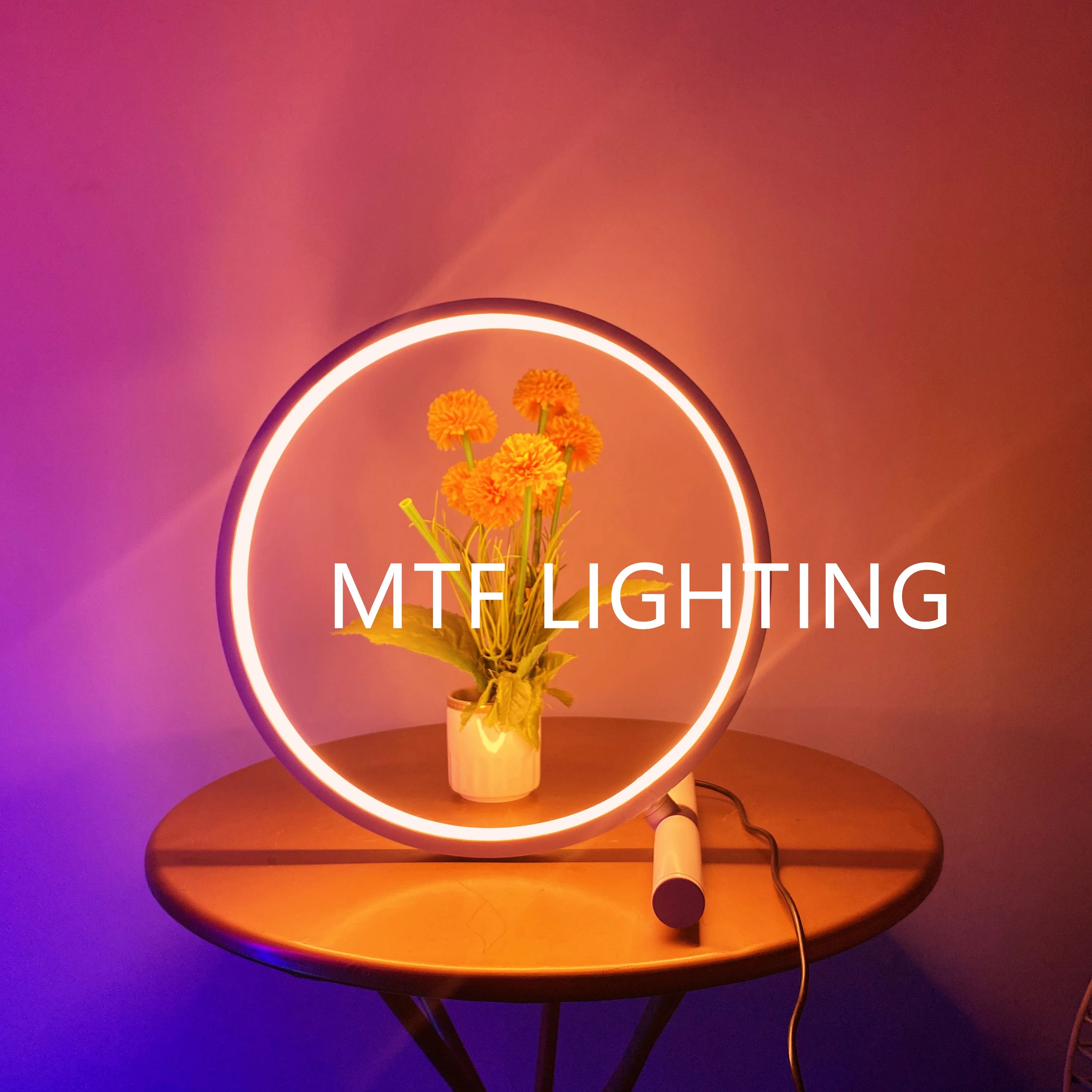 Nodic circle light USB color changing bedroom bar home decor led CCT RGB minimalist table lamp