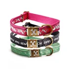 Pet Supplies Christmas Luxury Personalized Nylon Reflective Heat Transfer Dog Collar