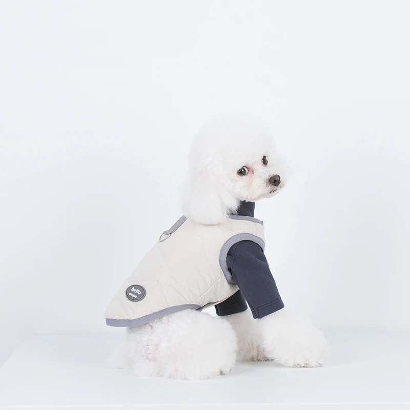 Bunny CW08 Fashion 2022 pet apparel new cat pet clothes autumn winter dog puppy jacket, Beige /pink/blue
Bunny CW08 Fashion 2022 pet apparel new cat pet clothes autumn winter dog puppy jacket, Beige /pink/blue