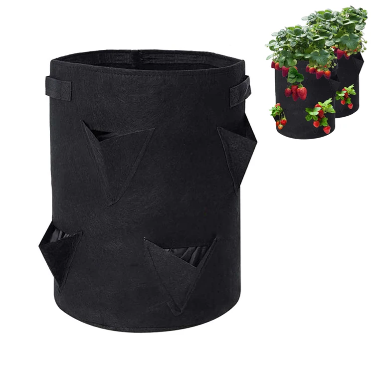 growing bag for strawberries Vegetable potato planting bag with handle garden fabric planting bag
growing bag for strawberries Vegetable potato planting bag with handle garden fabric planting bag