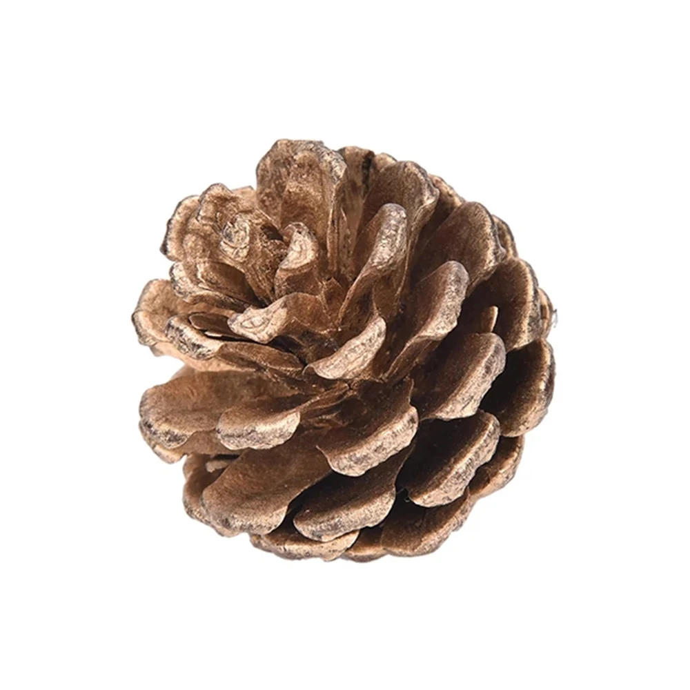 Newbility primary color natural christmas decoration pine cones wood pinecone ornament 2021, Primary color pine cones
Newbility primary color natural christmas decoration pine cones wood pinecone ornament 2021, Primary color pine cones